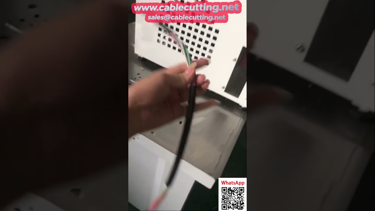 Peladora computarizada automática de 30 mm²